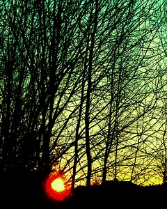 Silhouette evening dusk