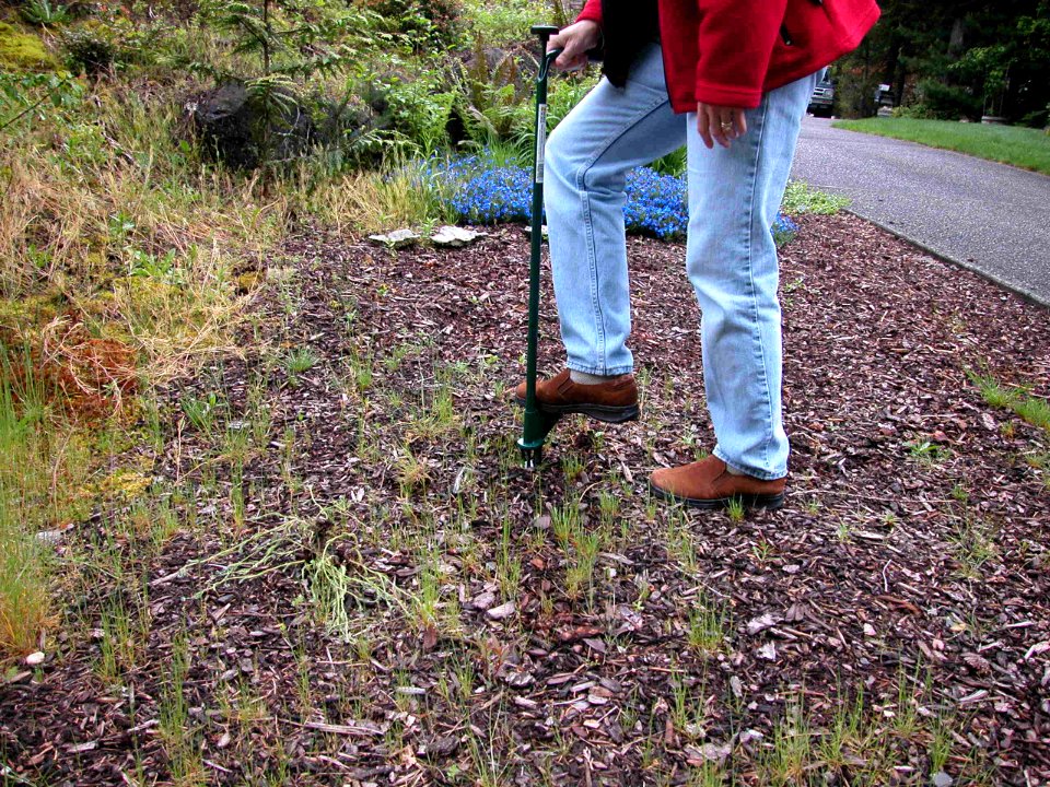 weeding with tool