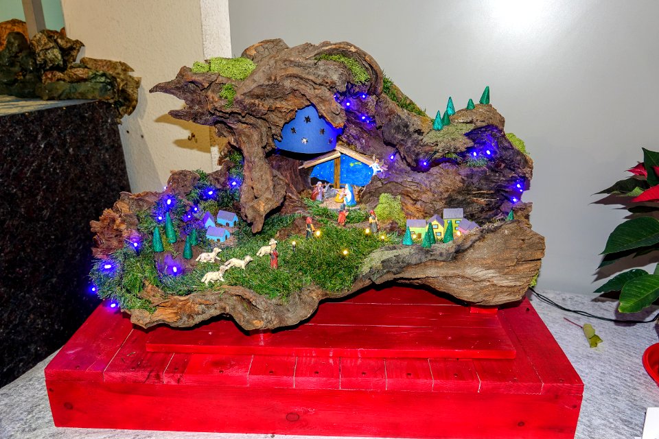 DSC02881