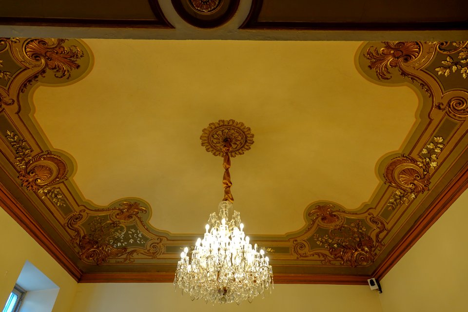 Visita a Palazzo Cisterna e Torino