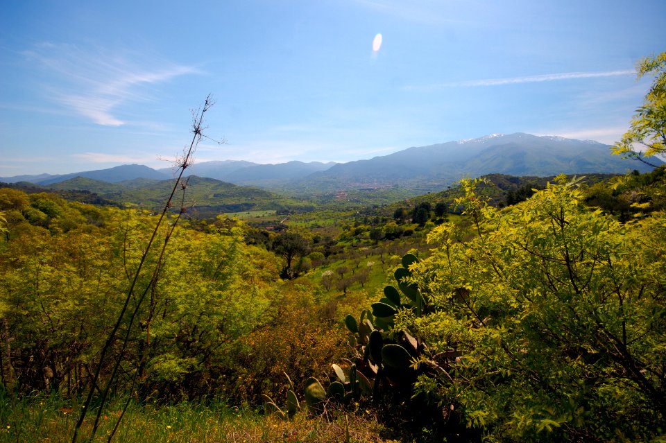 IMG 7399 400 401