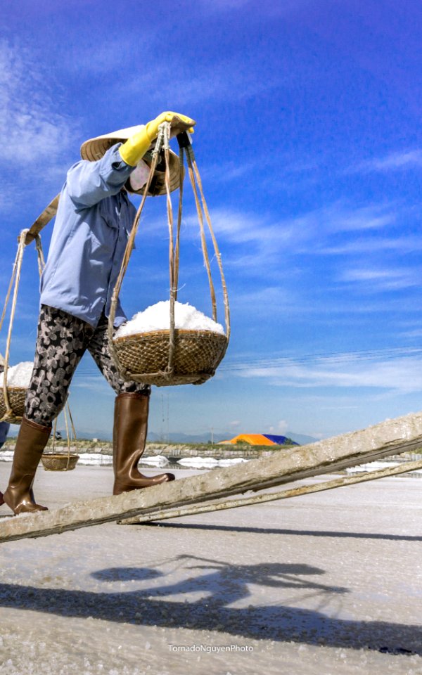 SALT FIELD