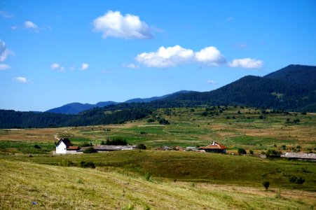 DSC01950
