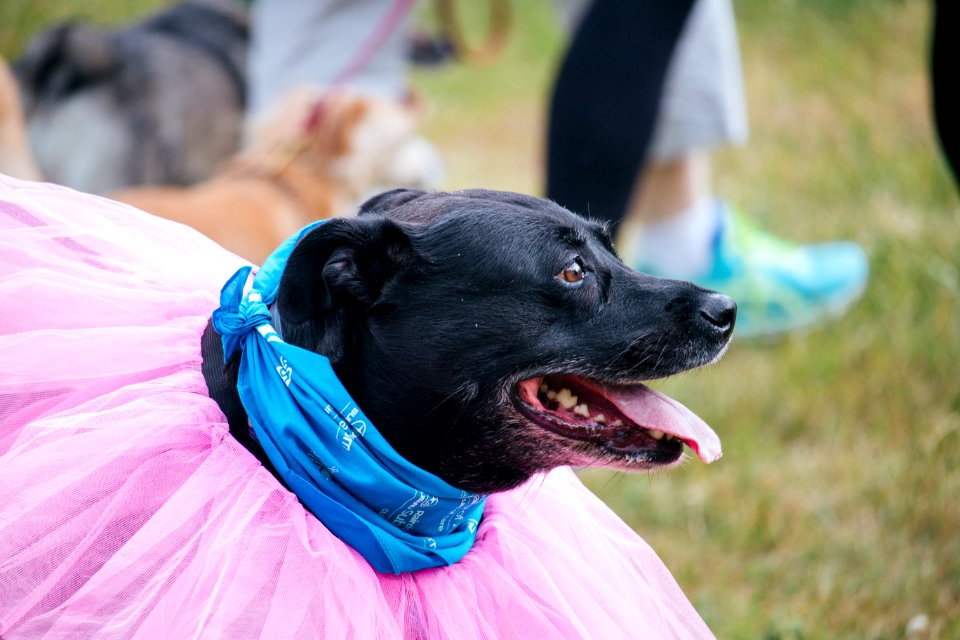 IschelleMartin-furry5k-133