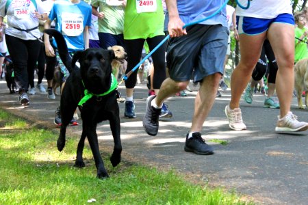 Furry 5K 2019