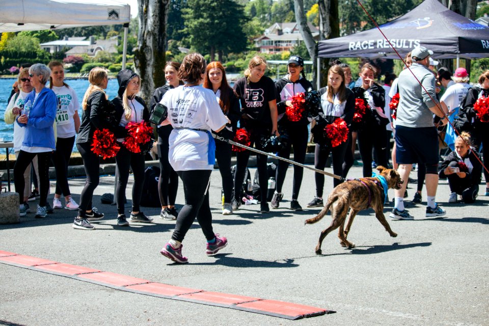 IschelleMartin-furry5k-322