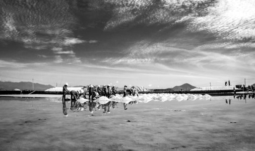 SALT FIELD photo