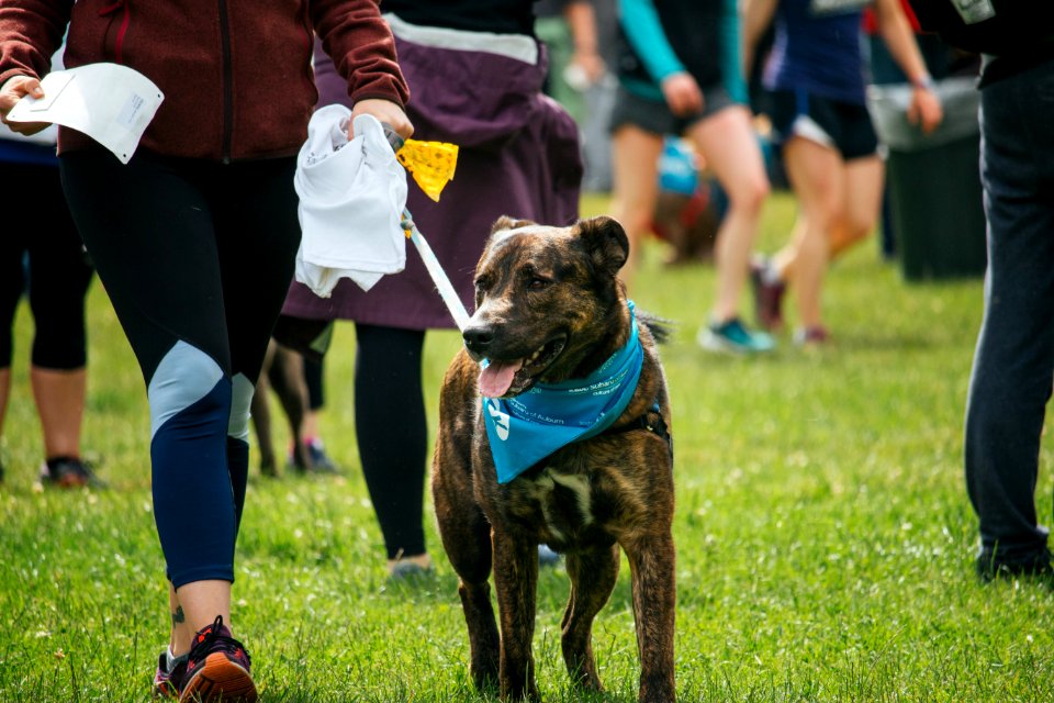 IschelleMartin-furry5k-98