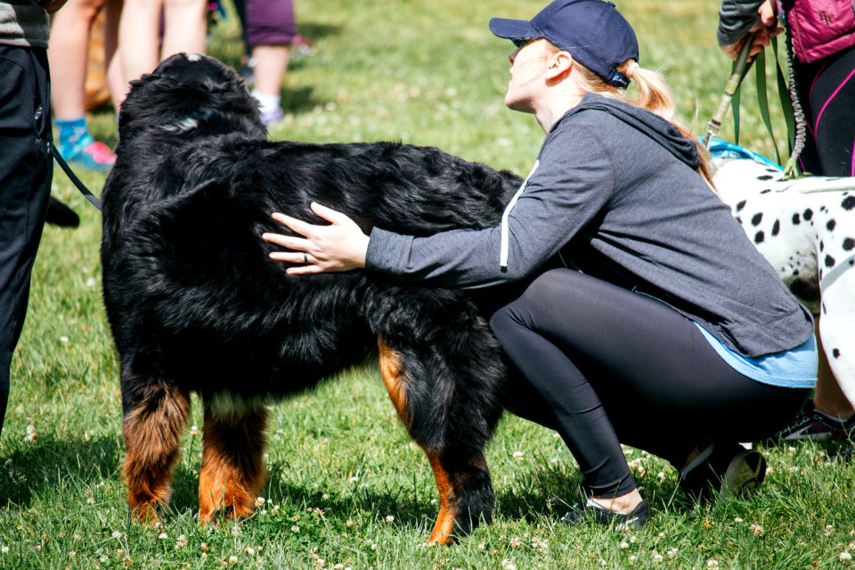 IschelleMartin-furry5k-72