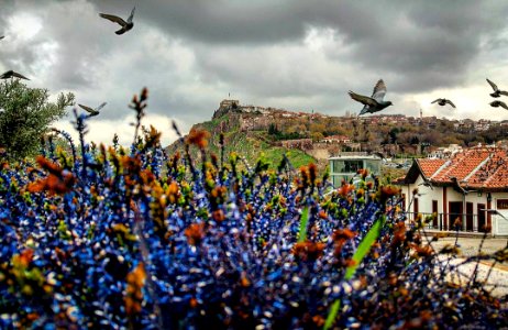 ULUS , ANKARA