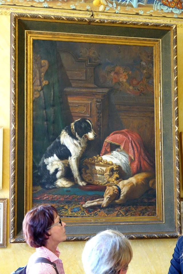 Gita Isola Bella