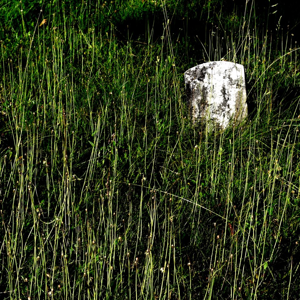 Teats Ground Milan