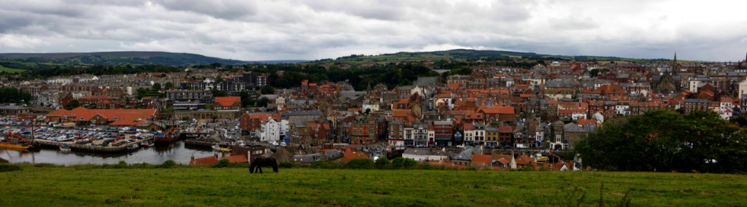 Whitby taken from near the Abbey