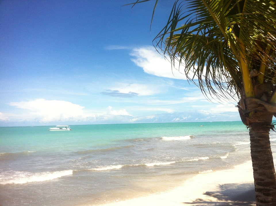 Beach tropical exotic