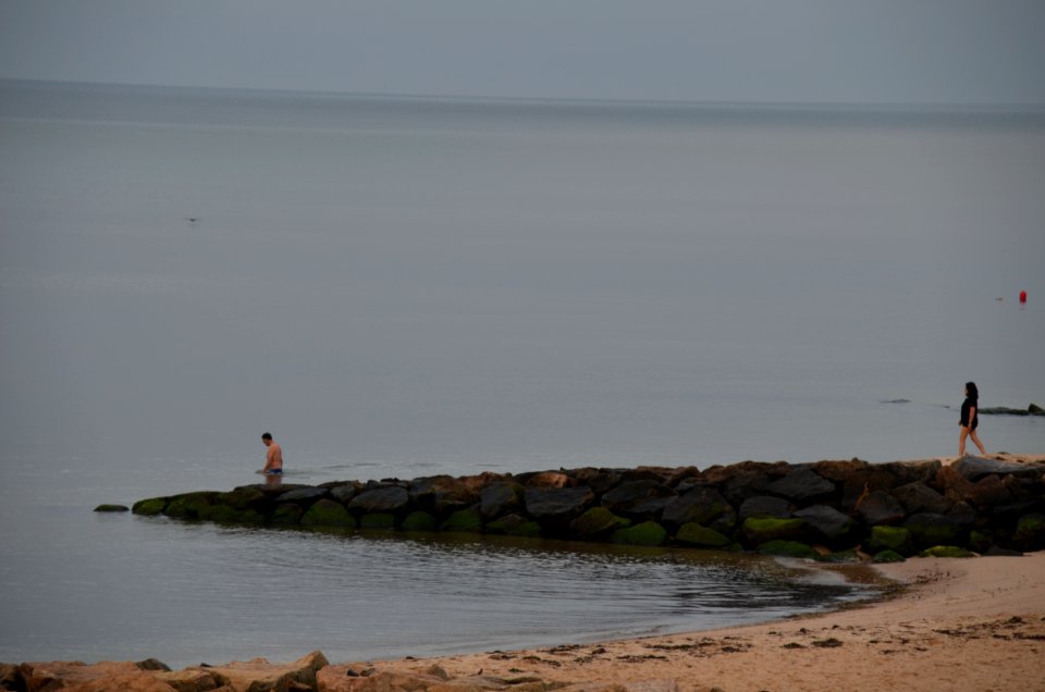Back to the Ocean
