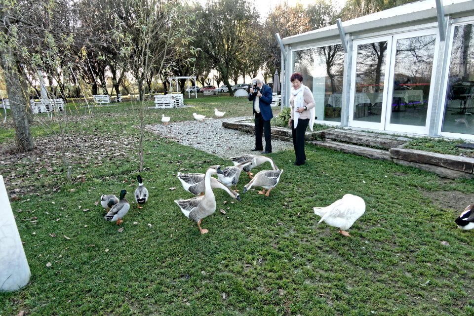 Pranzo Campani 2018