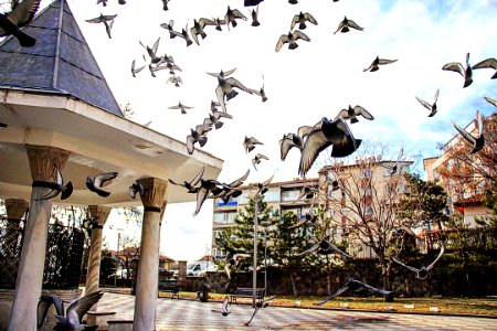 ULUS , ANKARA