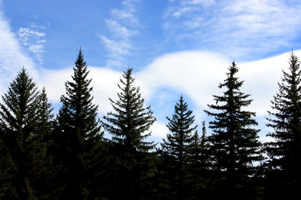 IMG 7929