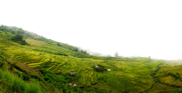20160904-DSC 0084-Pano