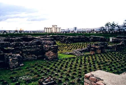 ROMA HAMAMI