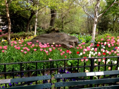 Central Park photo