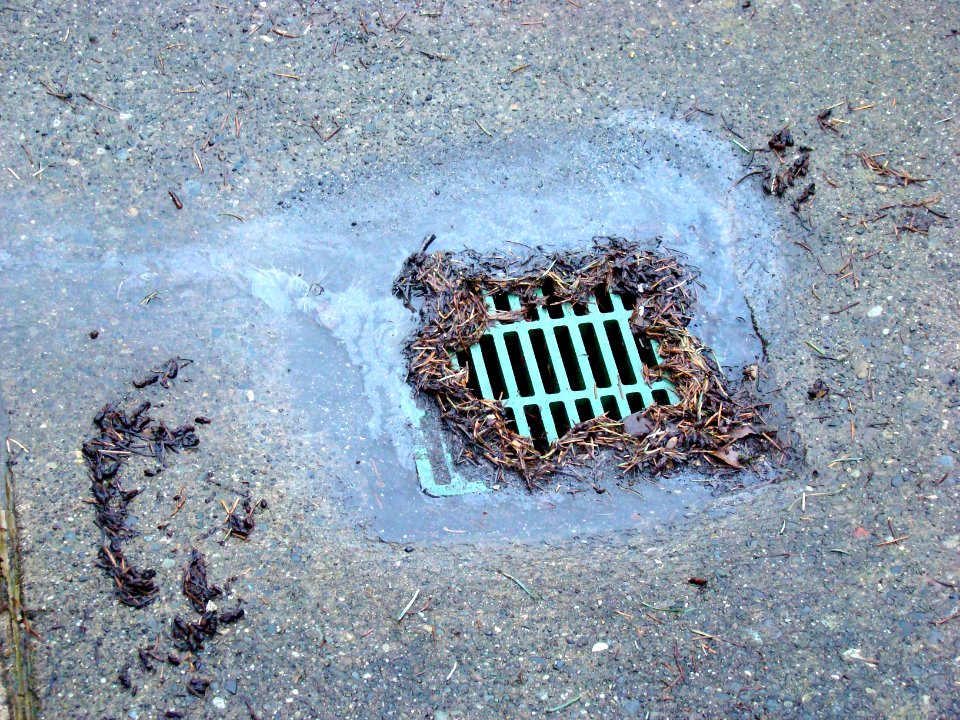 Storm drain Needles and oil