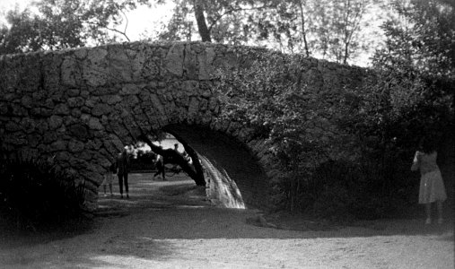 Small bridge of Nescuchnoe