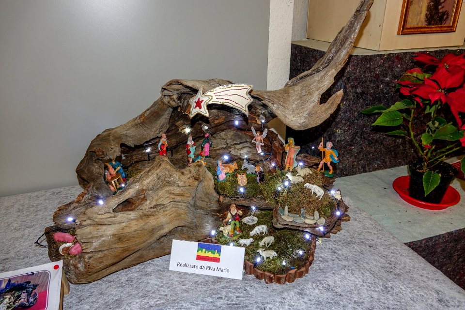 DSC02879