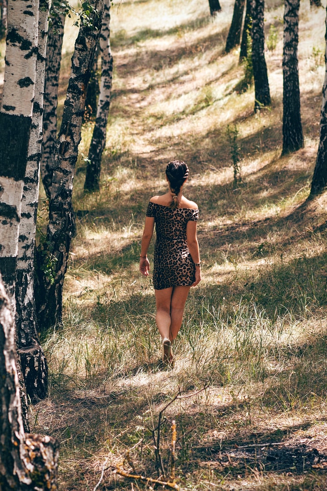 Forest woods walking