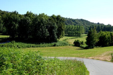 Vialfrè Alla ricerca della Felicità