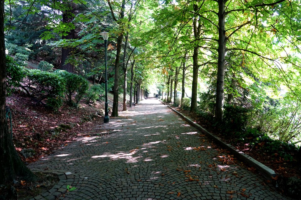 Villa della Regina 26/06/2016