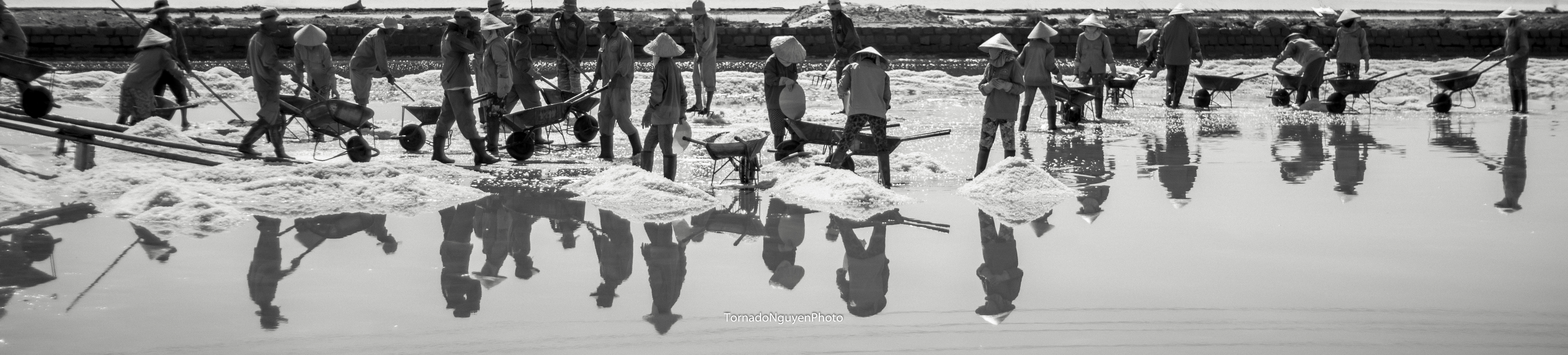 SALT FIELD