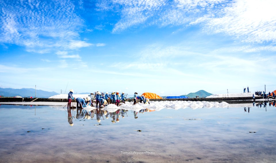 SALT FIELD
