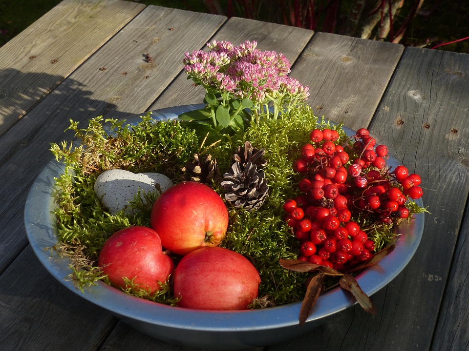 Apples rowan berries bowl