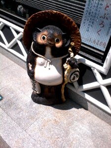 Tanuki