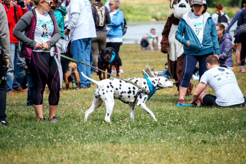 IschelleMartin-furry5k-57
