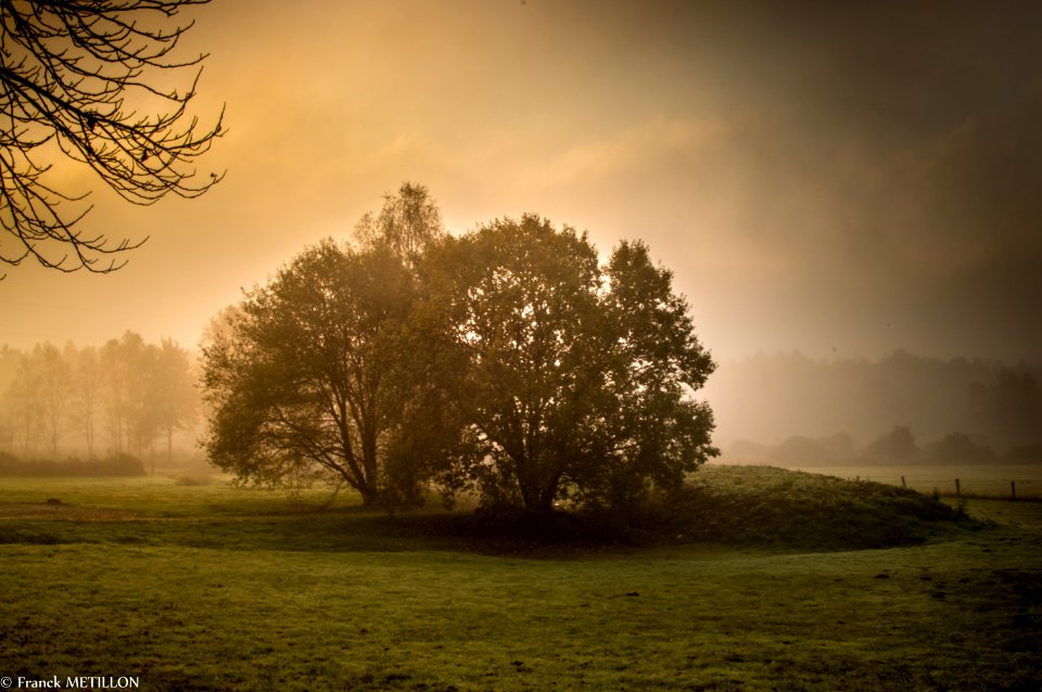 LES MAZURES - ARDENNES