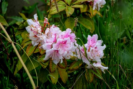 DSC00085
