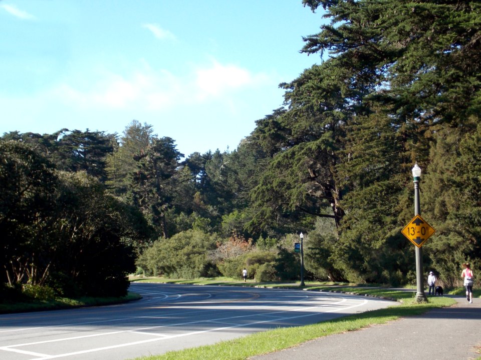 grassy roads