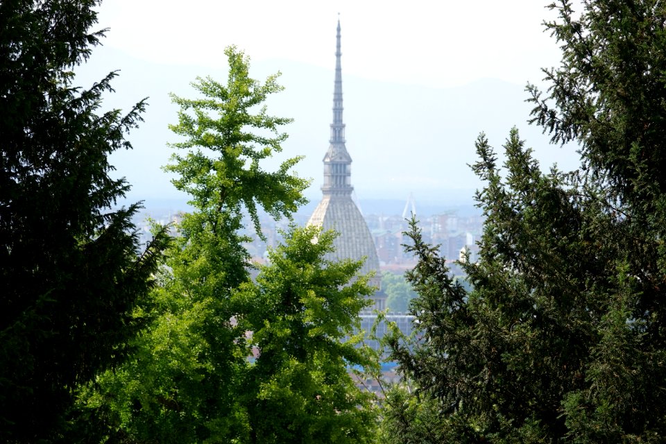 Villa della Regina 26/06/2016