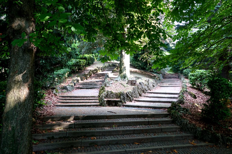 Villa della Regina 26/06/2016