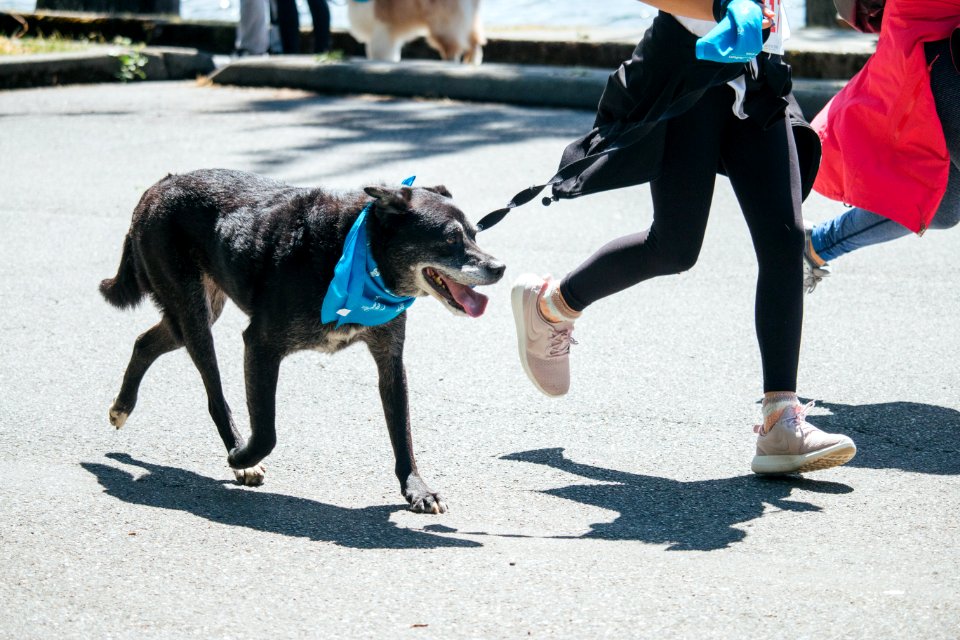 IschelleMartin-furry5k-306