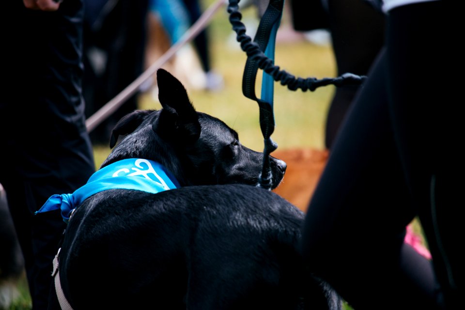 IschelleMartin-furry5k-99