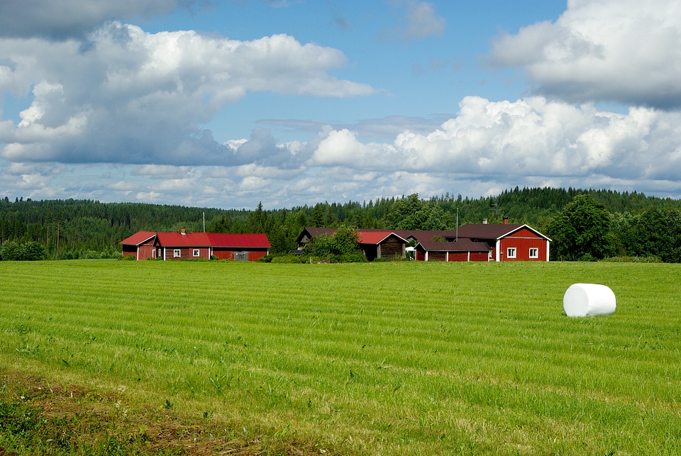 Farm forest hay