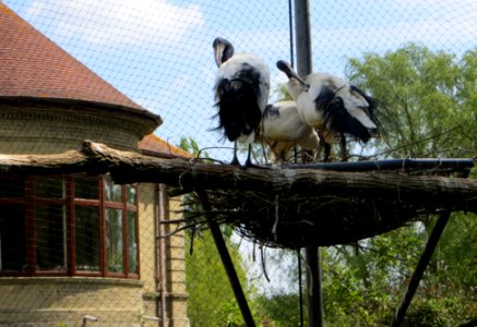 IMG 3082crop