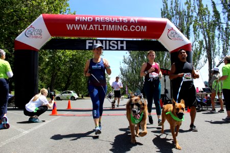 Furry 5K 2019