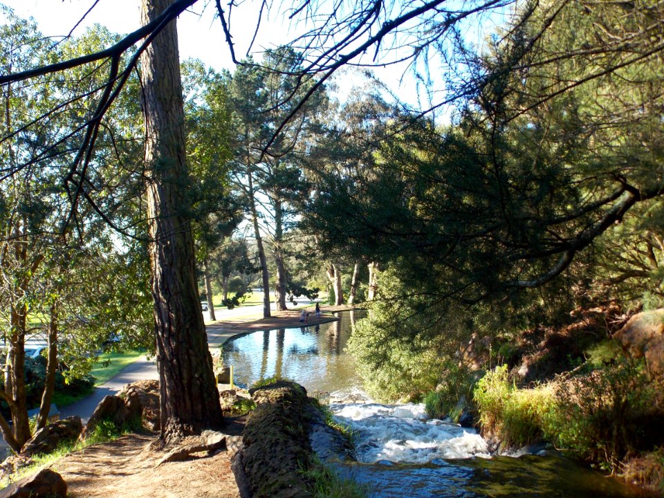 Lloyd Lake Views