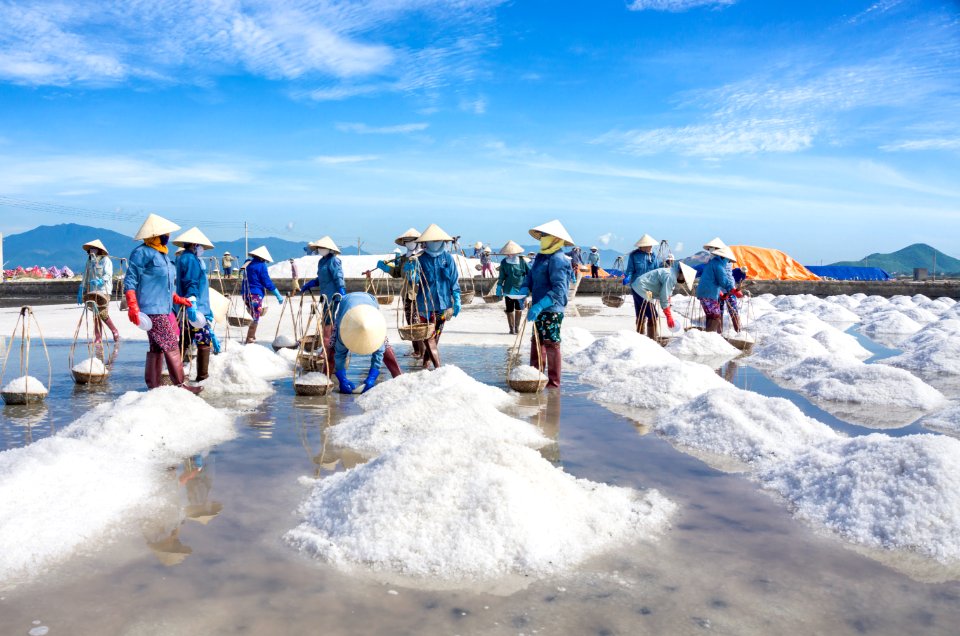 SALT FIELD photo