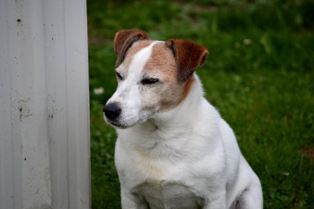 DSC 0091