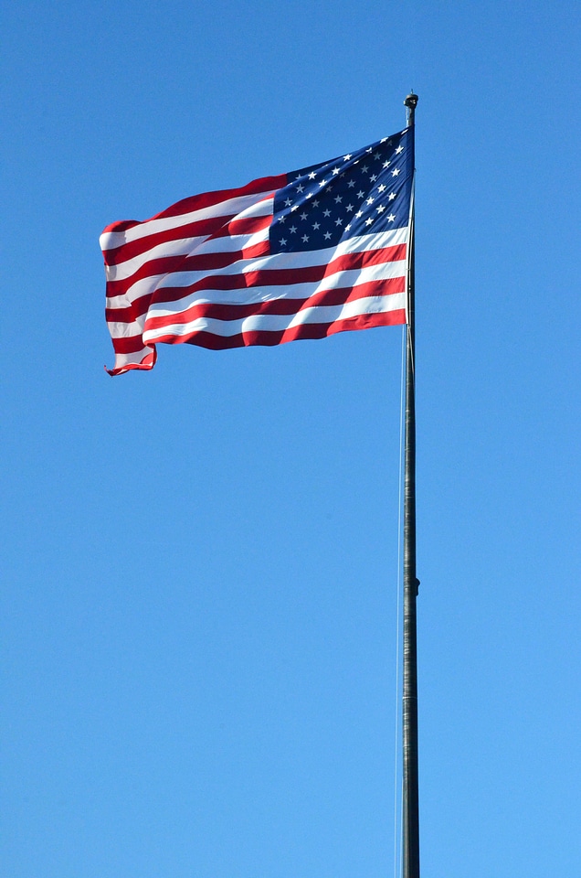 Freedom symbol state